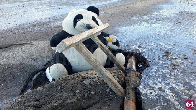 В Саратове панда защищала автолюбителей от ям