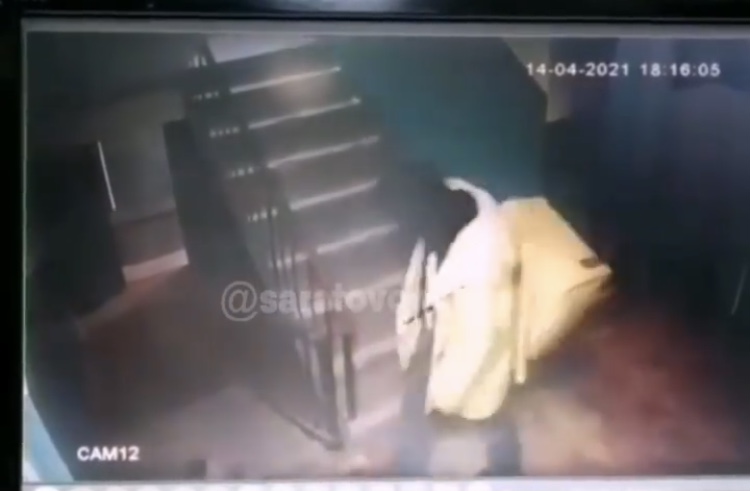 В Саратове доставщик еды похитил собаку 