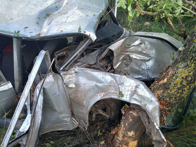 Водителя осудили за пьяное ДТП с деревом под Саратовом