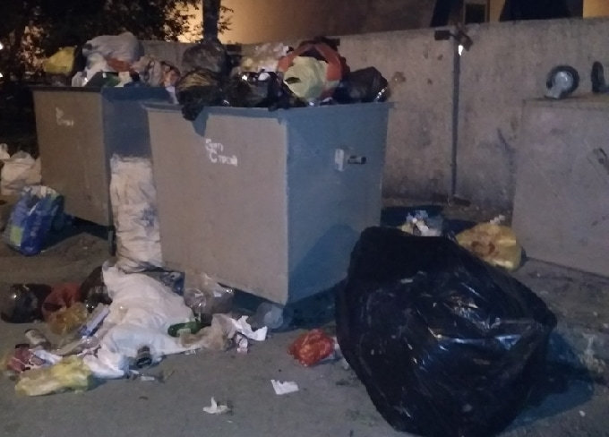 Саратовцев испугали полчища крыс рядом с гимназией 