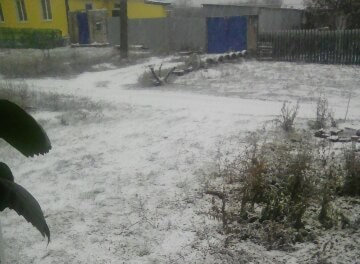 Жители Балакова делятся фотографиями снегопада