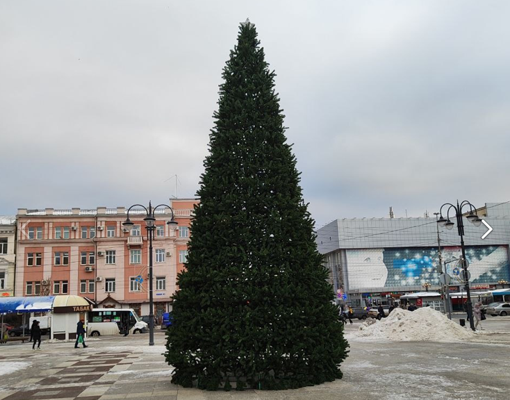 Саратов начали украшать новогодними елками
