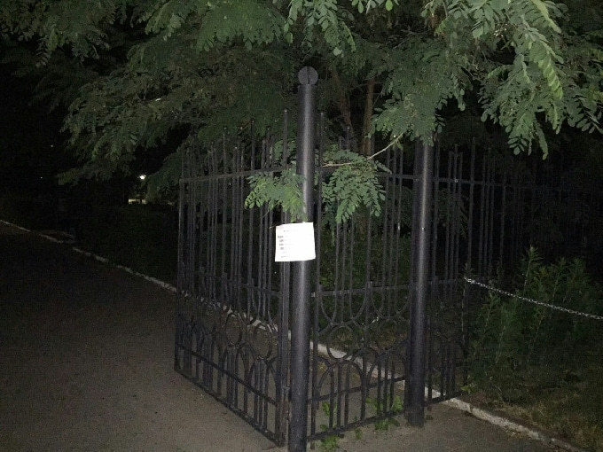 Жители Саратова жалуются на собачников в Детском парке  
