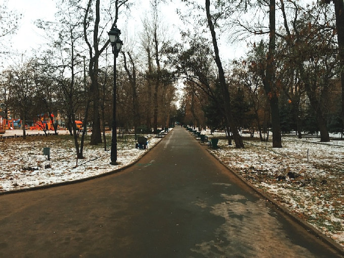 В Саратовской области прогнозируют мокрый снег с порывистым ветром 