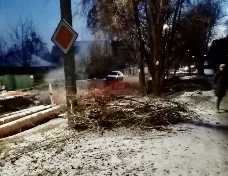 Чиновники пообещали высадить новые деревья во 2-м Детском проезде