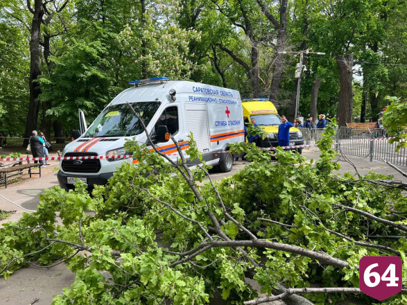 Городской парк Саратова готовят к открытию после гибели людей от дерева