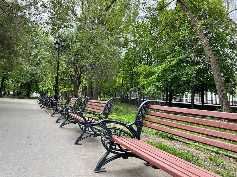 В Саратове из-за сильного ветра закрыли парки