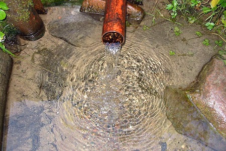 Воду в 4 родниках Саратова признали опасной 