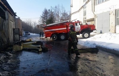 В Петровске горел подсолнечник 