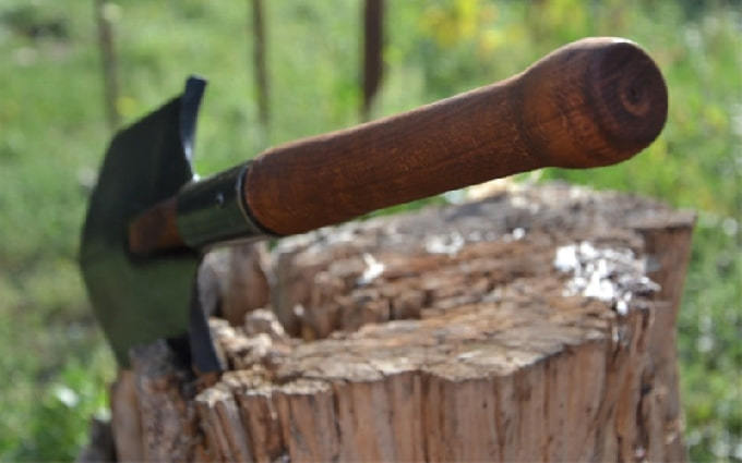 Племянник убил тетю штыковой лопатой 