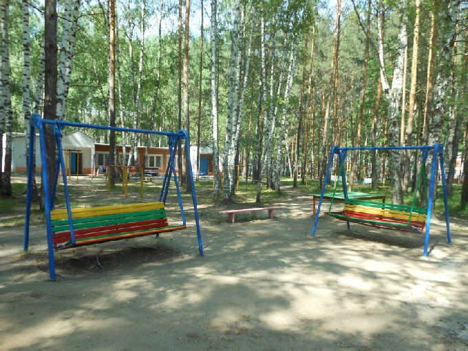 В Саратове из-за мышиной лихорадки отменили заезды в детские лагеря
