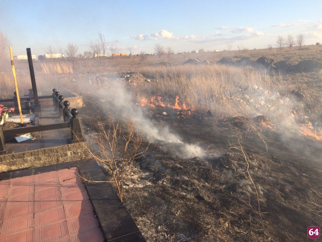 Под Саратовом огонь охватил кладбище 