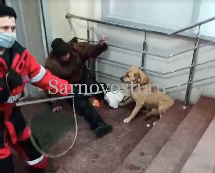 В Саратове собака пьяного мужчины не выпускала посетителей из магазина
