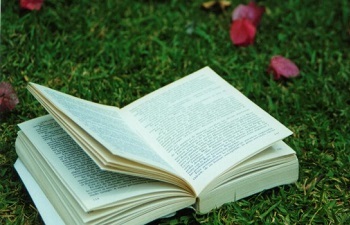 Бомж похитил из дома на улице Веселой 600 книг