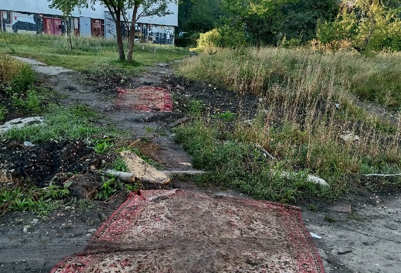 Жители Саратова застелили коврами пешеходную дорожку 