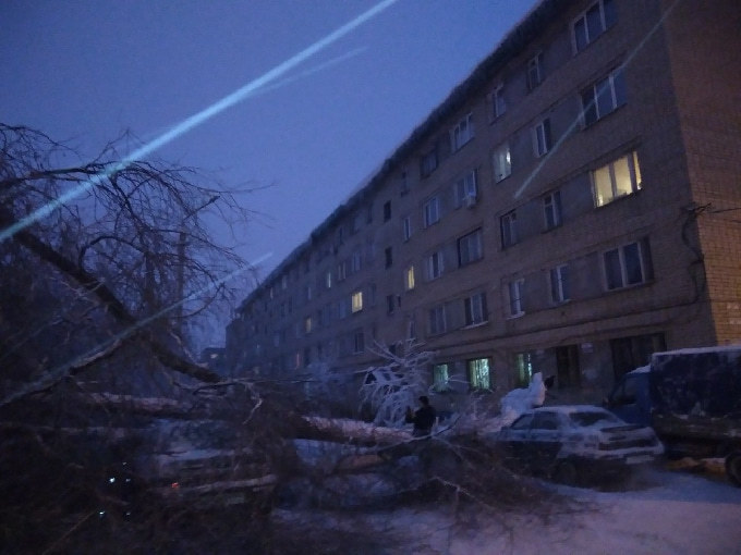 На автомобиль рухнуло дерево с красной меткой