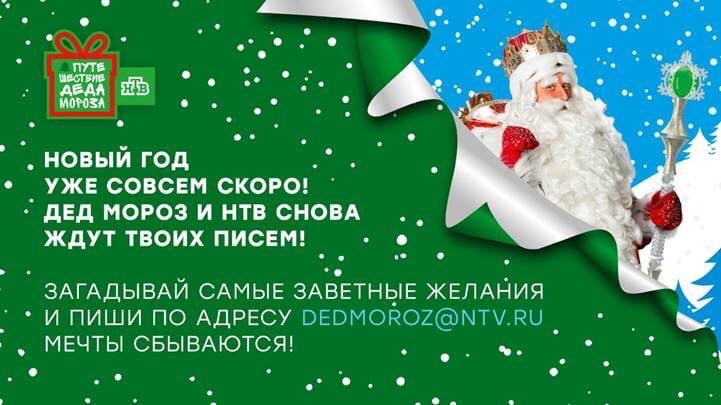 Новогодний Пес Нтв Новогодний Пес Нтв