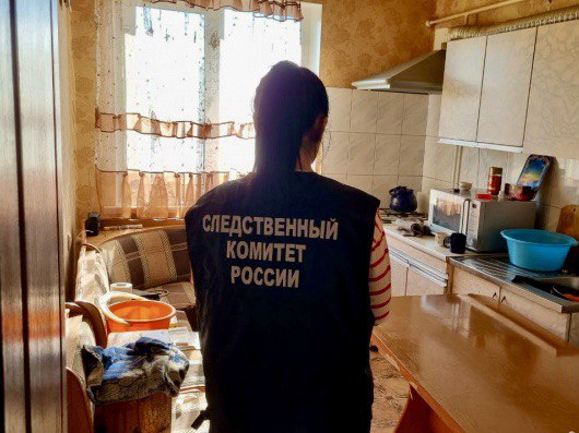 Саратовца приговорили к 11 годам колонии за убийство матери
