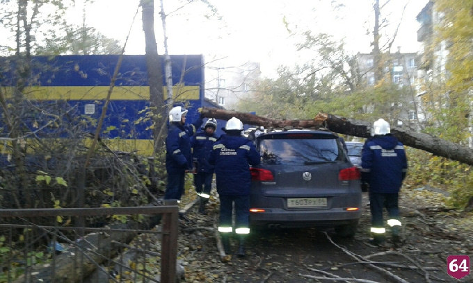 На Пономарева дерево раздавило «Фольксваген»