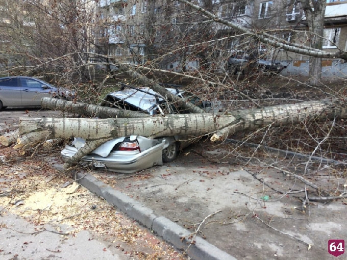 На Мельничной дерево раздавило автомобиль и перегородило дорогу 