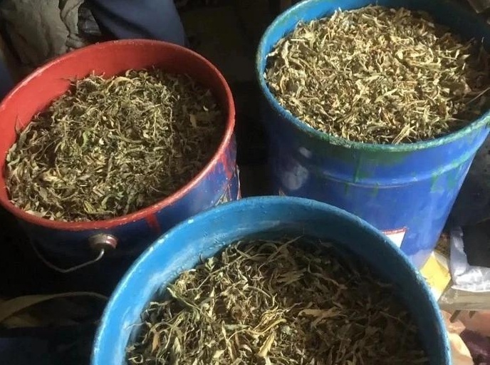 Полицейские нашли у саратовца четыре ведра марихуаны