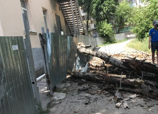 На ограду детского сада рухнуло дерево