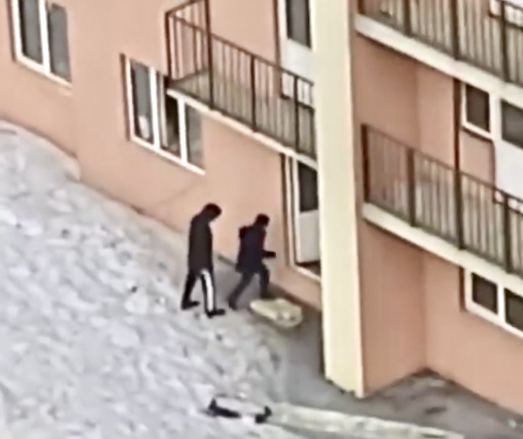 В Саратове долгострой стал местом притяжения подростков и бродячих собак