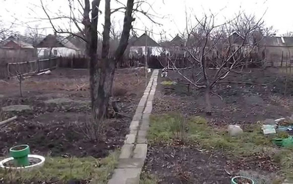 В Саратовской области ожидаются заморозки и туман 