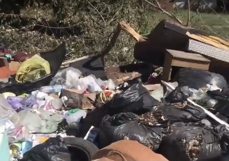  Чиновники пообещали ликвидировать свалку в Летном городке