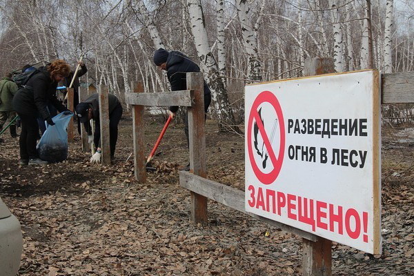 Чиновники собрали на Кумысной поляне 45 мешков мусора