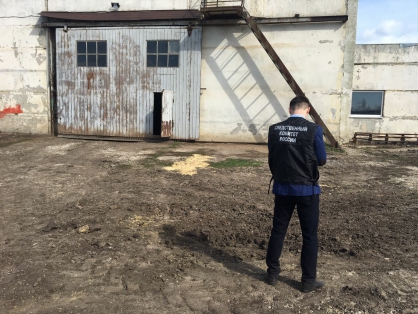 Мужчина упал с лестницы на ферме под Саратовом и умер