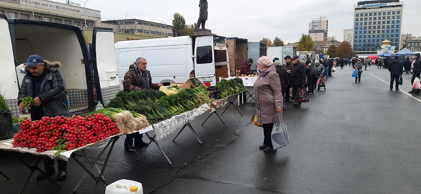 Саратовцев приглашают на ярмарку за местными овощами и медом