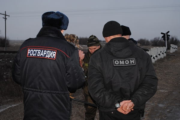 В Саратовской области провели 49 рейдов против браконьеров