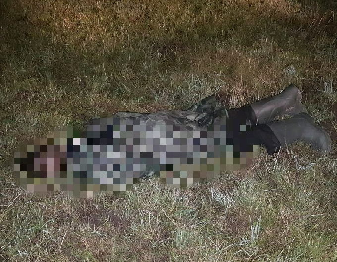 В Саратовской области молния убила молодого пастуха