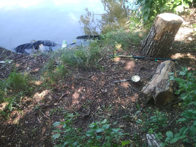 Пес показал место гибели утонувшего в пруду рыбака
