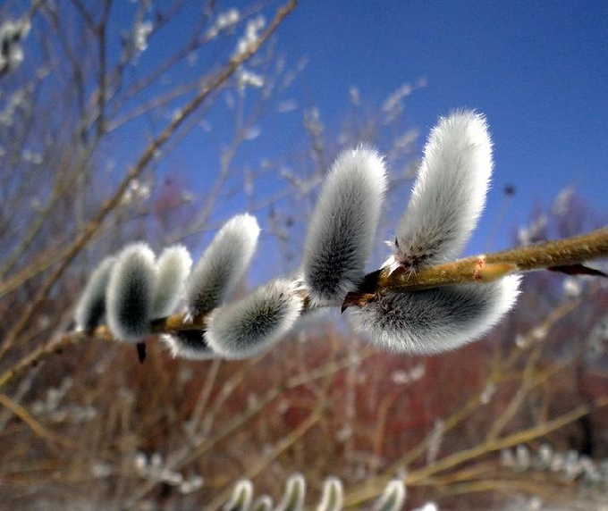В Саратовской области потеплеет до +16°