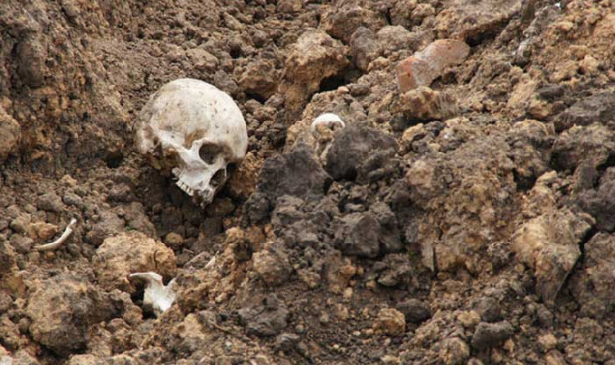 Грибники наткнулись на человеческий череп и кости
