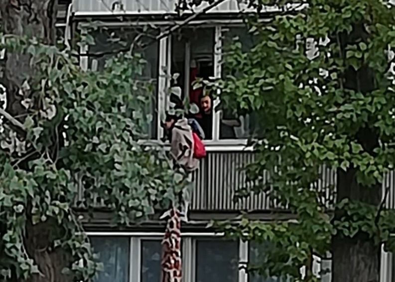 Горожане сняли побег женщины из квартиры по одеялу