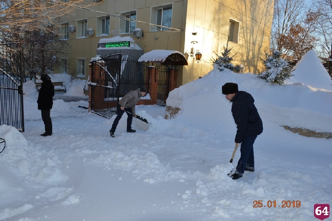 Сотрудники ветеринарной лаборатории присоединились к уборке Саратова от снега
