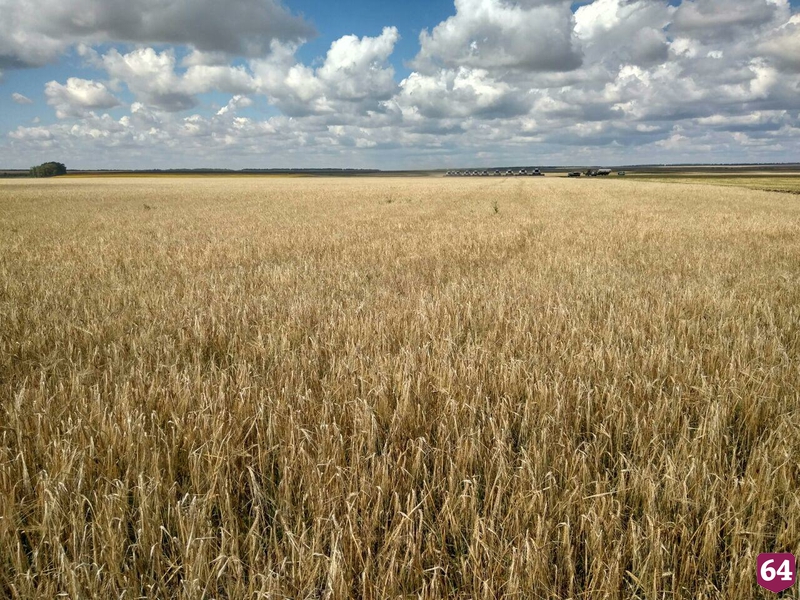 На полевой дороге насмерть разбился водитель «Гранты» 