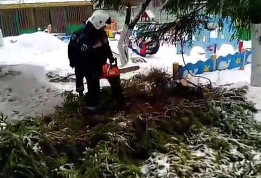 В Саратове на площадку детсада рухнула ель 