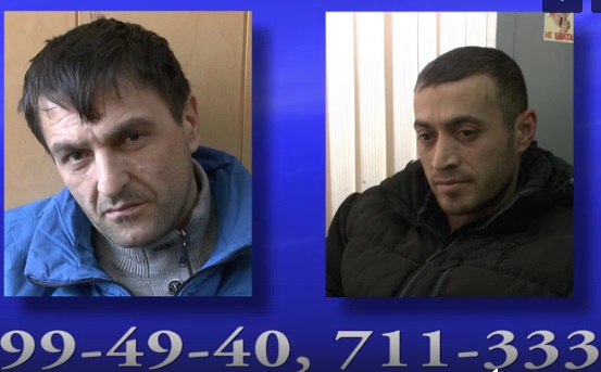 Полиция ищет потерпевших по делу серийных похитителей коров 