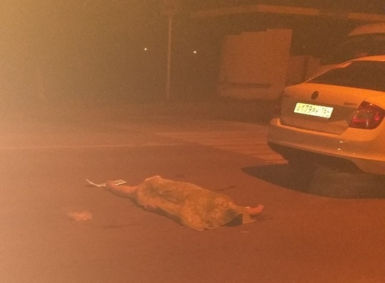 В Энгельсе под колесами автомобиля погибла неизвестная женщина 