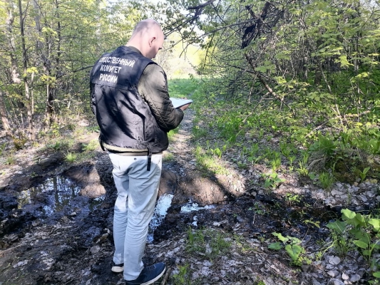 В Саратове на дне оврага нашли человеческий череп