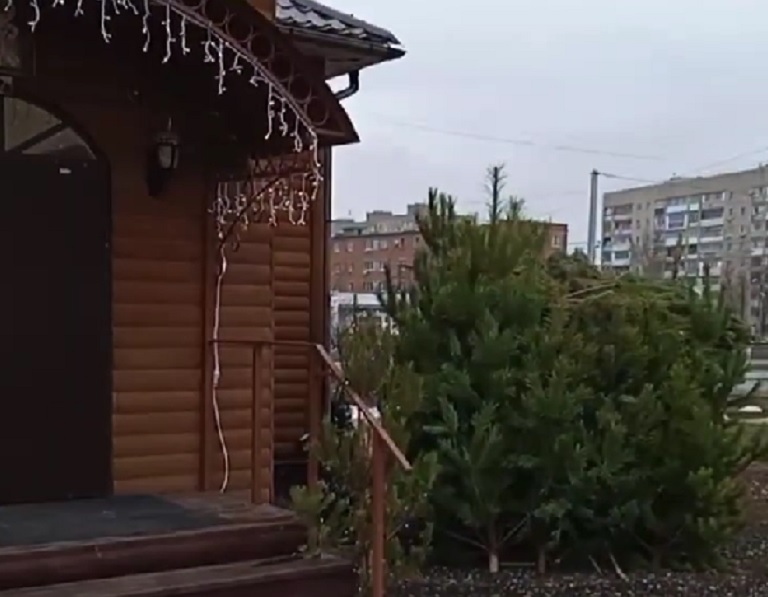Дачников Энгельса позвали в храм за бесплатными елками 