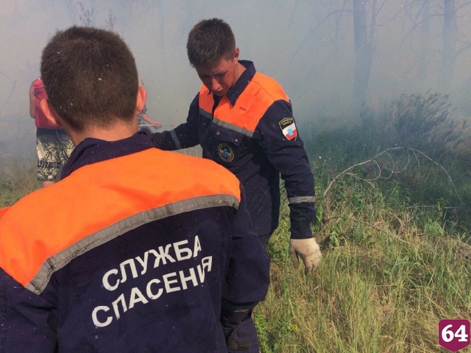 В Лысогорском районе полностью ликвидировали лесной пожар 