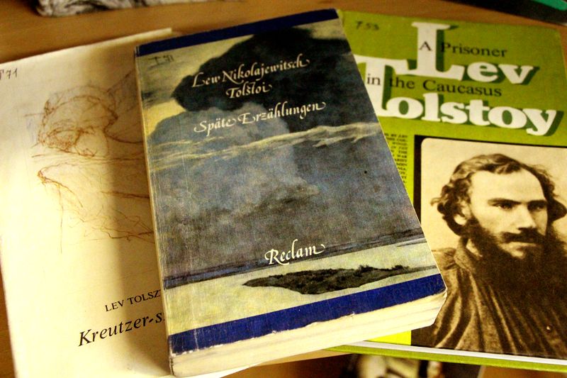 Саратовцам предложили подарить книги русских авторов иностранцам