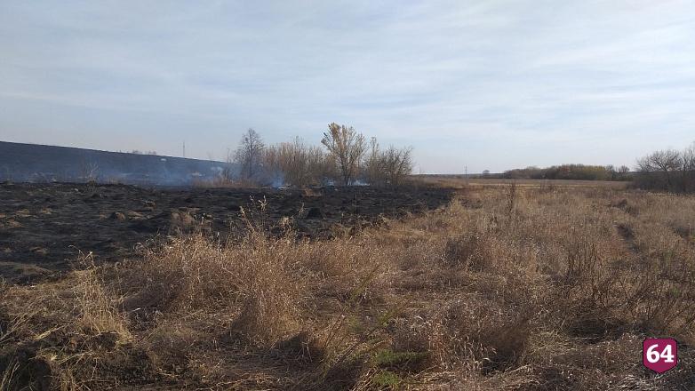 Под Саратовом горят 30 гектаров леса