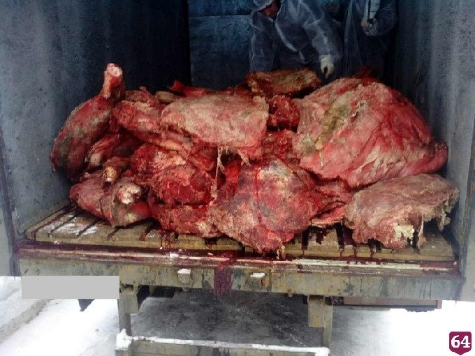 В Саратове уничтожили партию опасного мяса