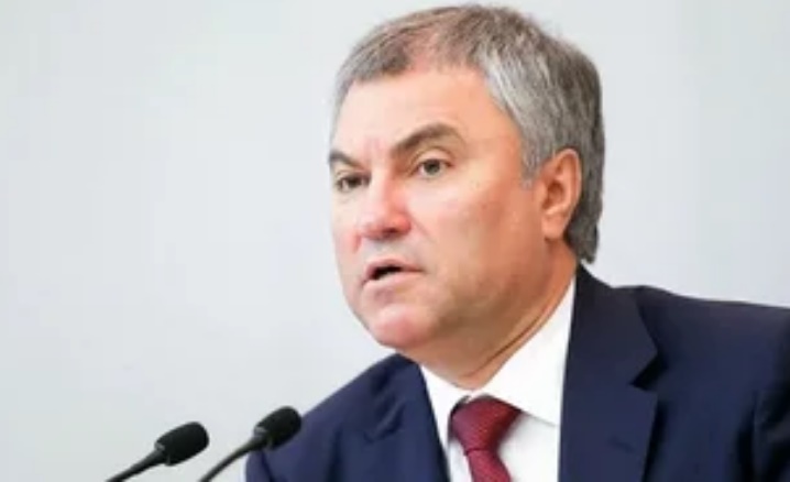 Володин назвал «умное голосование» проектом западных спецслужб